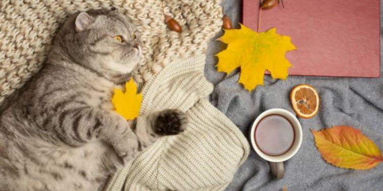 Add Texture to Winter Décor