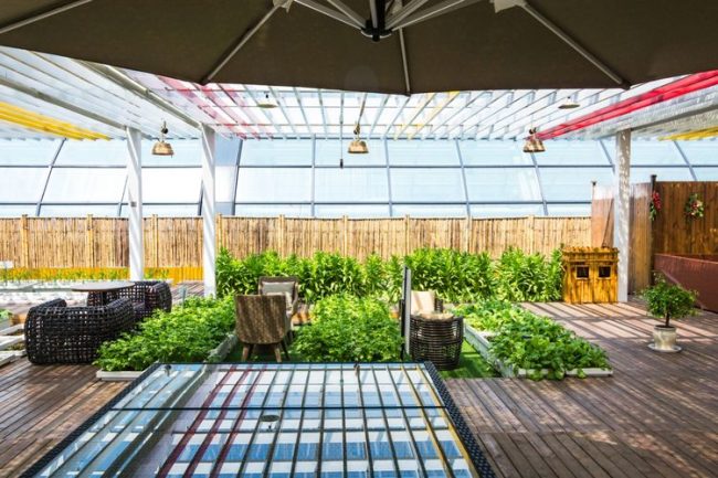Simple Steps to Refresh Your Deck’s Look Simple Steps to Refresh Your Deck’s Look