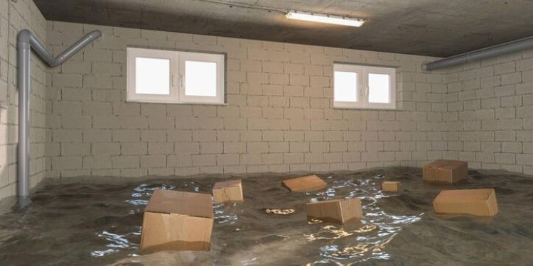 Basement Flooded Here’s What to Do Next